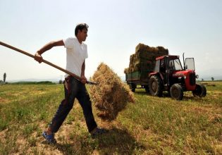 Νέοι αγρότες: Εντάξεις ύψους 38,7 εκατ. ευρώ στη Στερεά Ελλάδα