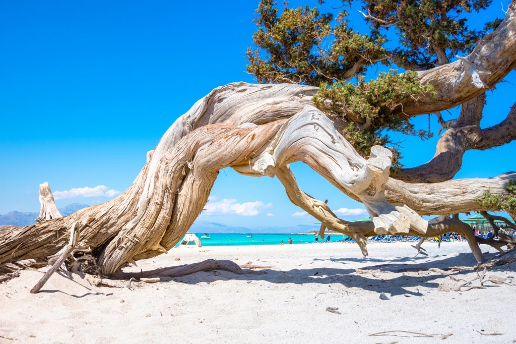 Κρήτη: Στους 10 κορυφαίους προορισμούς του 2023 για τουρισμό περιπέτειας και ευεξίας