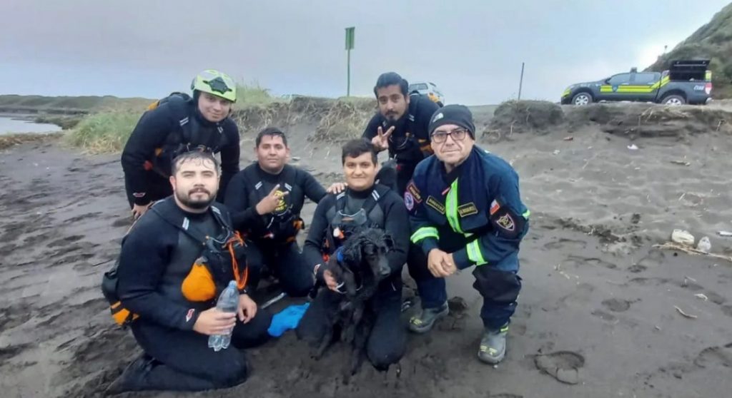 Χιλή: Μεγάλη επιχείρηση διάσωσης σκυλίτσας σε απόκρημνα βράχια (βίντεο)
