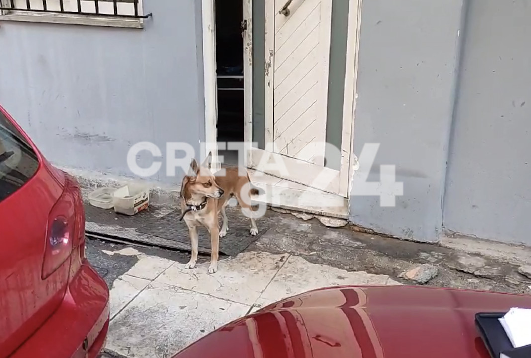 Χανιά: Συγκινεί ο «Χάτσικο της Κρήτης» - Ο σκύλος του άνδρα που βρέθηκε νεκρός τον περιμένει στην πόρτα