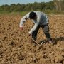 Αγρότες: Πώς διαμορφώνονται οι ασφαλιστικές εισφορές