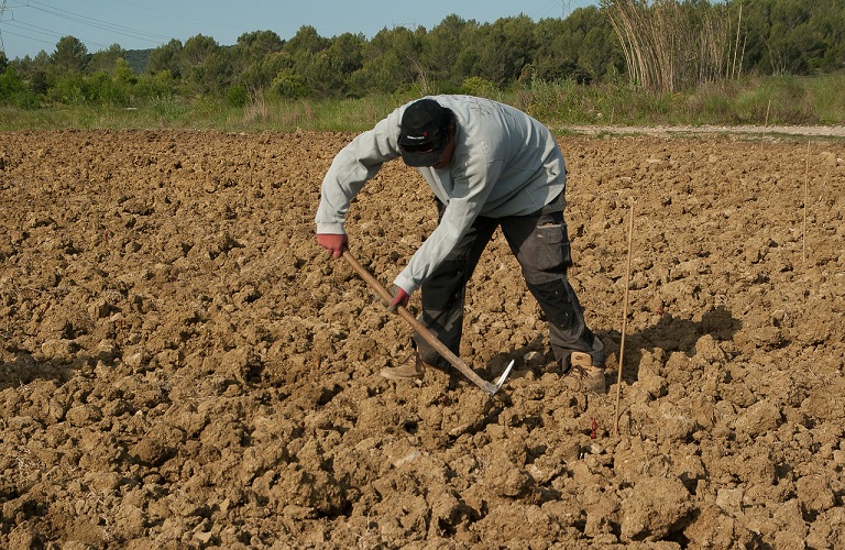 Αγρότες: Πώς διαμορφώνονται οι ασφαλιστικές εισφορές