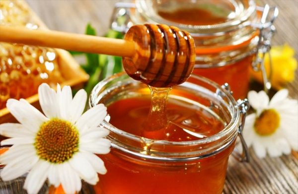 Μέλι: Γλυκόπικρη γεύση άφησε η φετινή συγκομιδή – «Αγκάθι» οι ελληνοποιήσεις