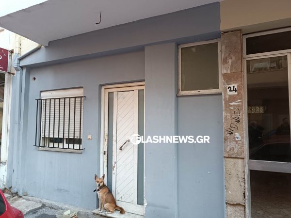 Χανιά: Νέα ζωή για τον «Χάτσικο» που παρέμενε δίπλα στο νεκρό αφεντικό του – Πού βρίσκονται οι έρευνες για τη δολοφονία του 53χρονου