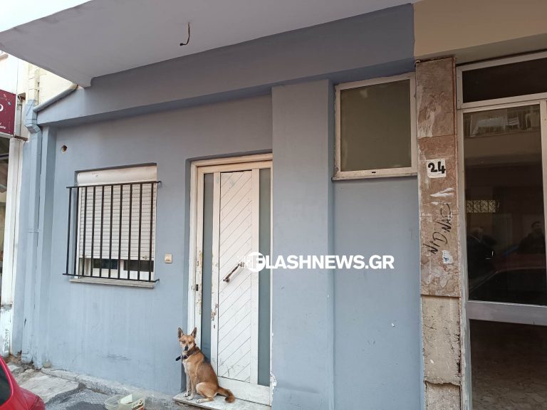 Χανιά: Νέα ζωή για τον «Χάτσικο» που παρέμενε δίπλα στο νεκρό αφεντικό του – Πού βρίσκονται οι έρευνες για τη δολοφονία του 53χρονου