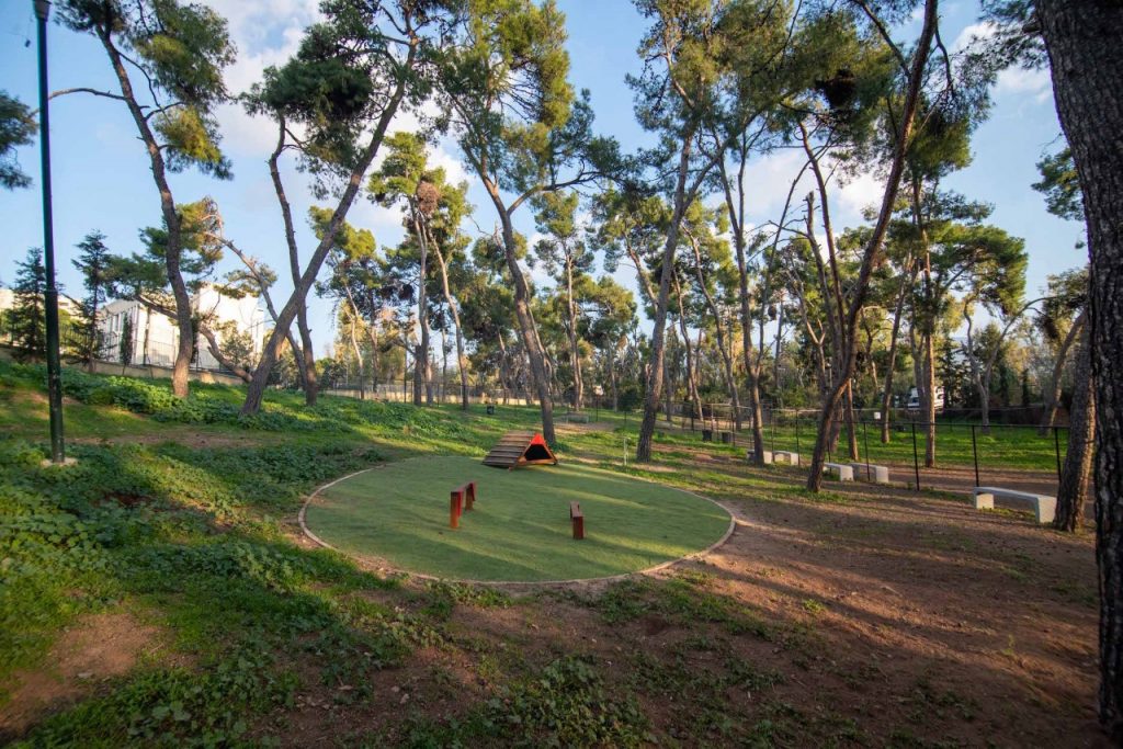 Δήμος Αθηναίων: Δύο νέα σύγχρονα dog parks στο Άλσος Χωροφυλακής και στον Λόφο Λαμπράκη