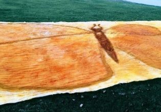 Ρεκόρ Γκίνες: Ο πιο μεγάλος πίνακας στον κόσμο από μπαχαρικά