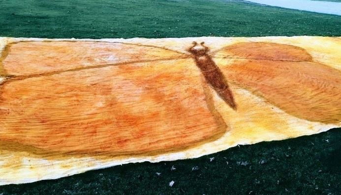 Ρεκόρ Γκίνες: Ο πιο μεγάλος πίνακας στον κόσμο από μπαχαρικά