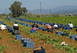 Εργάτες γης: Στη Βουλή η συμφωνία Ελλάδας – Αιγύπτου