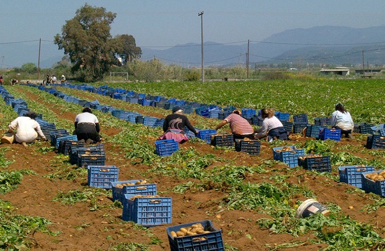 Εργάτες γης: Στη Βουλή η συμφωνία Ελλάδας - Αιγύπτου