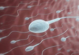 Έρευνα: Μόνο το 4% των υποψήφιων ανδρών γίνονται τελικά δεκτοί ως δωρητές σπέρματος
