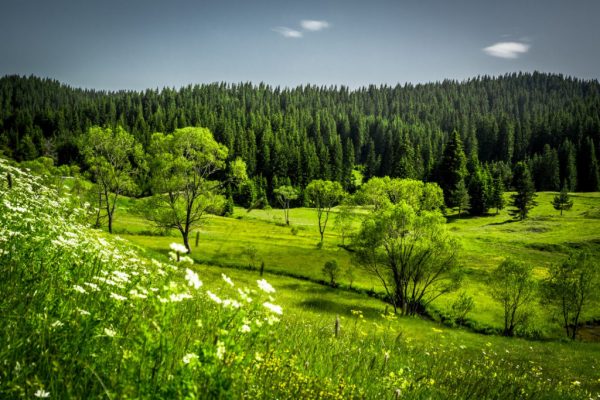 16 δράσεις προστασίας και ανάδειξης των περιοχών Natura στη Θεσσαλία