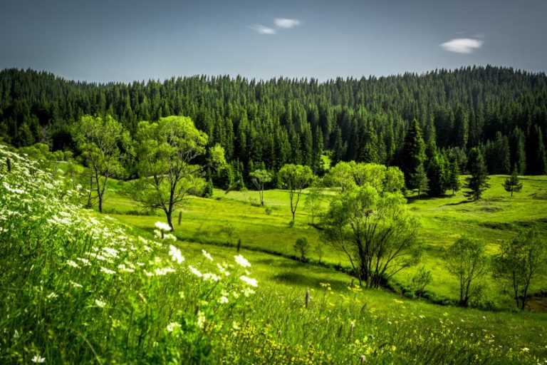 16 δράσεις προστασίας και ανάδειξης των περιοχών Natura στη Θεσσαλία