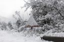 Χιόνι: Επικίνδυνη κακοκαιρία προ των πυλών – Ποιες περιοχές θα «χτυπήσει»