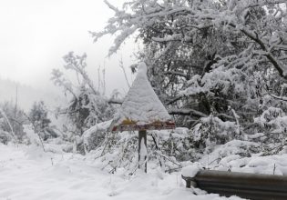 Χιόνι: Επικίνδυνη κακοκαιρία προ των πυλών – Ποιες περιοχές θα «χτυπήσει»