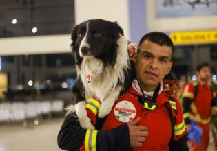 Σεισμός στην Τουρκία: Το Μεξικό στέλνει τη διάσημη ομάδα σκύλων του για την αναζήτηση επιζώντων