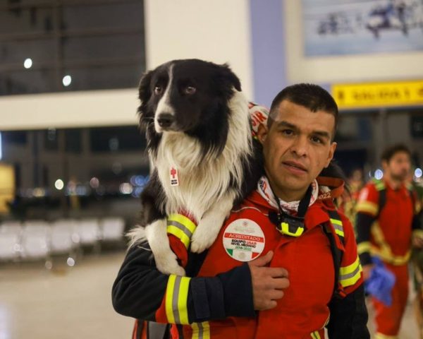 Σεισμός στην Τουρκία: Το Μεξικό στέλνει τη διάσημη ομάδα σκύλων του για την αναζήτηση επιζώντων
