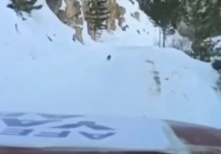 Σεισμός στην Τουρκία: Σκύλος καθοδήγησε διασώστες για να φτάσουν σε απομακρυσμένο χωριό – Είχαν χαθεί