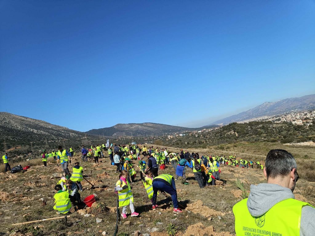 13.000 δέντρα φύτευσε ο Δήμος Παιανίας
