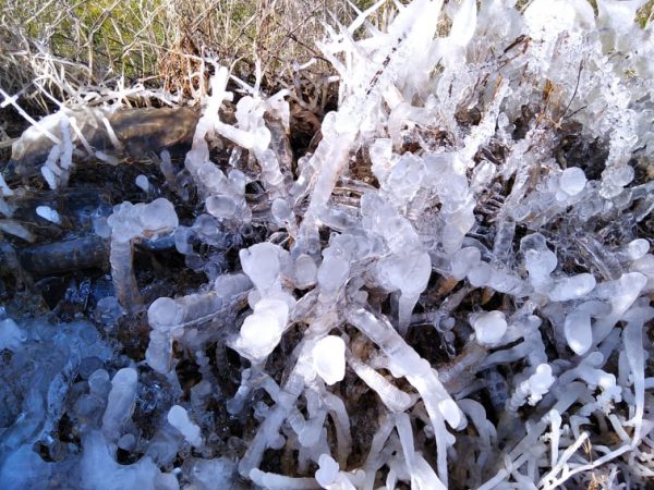 Καιρός: Παγωνιά στη Λάρισα – Στους μείον 5 βαθμούς το θερμόμετρο