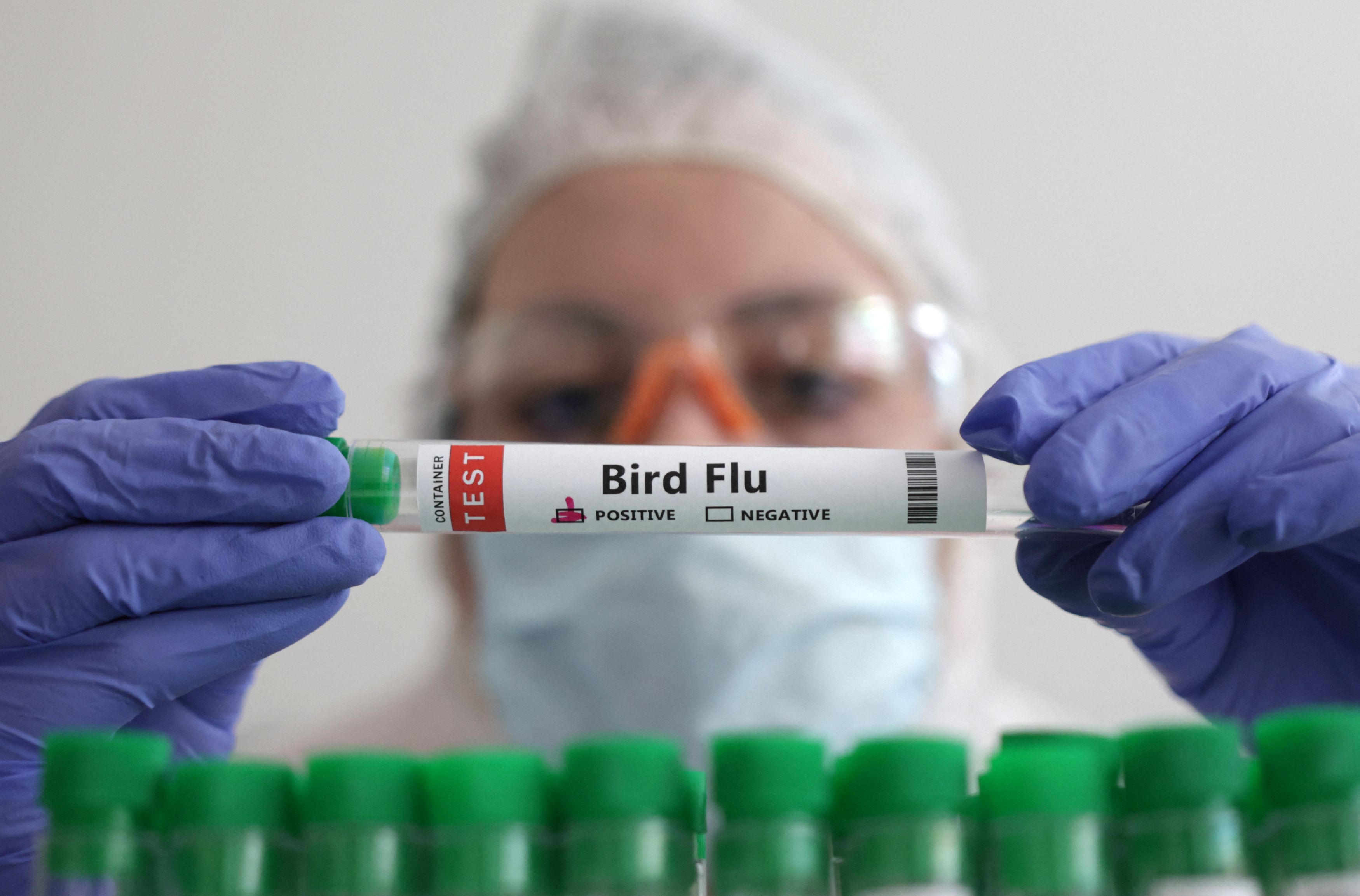 Γρίπη των πτηνών: «Ανησυχία» στον ΠΟΥ μετά τα κρούσματα σε ανθρώπους