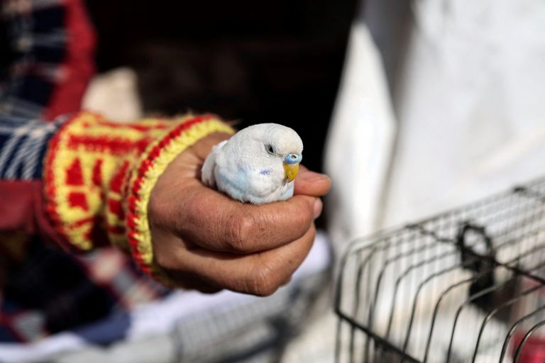 Τουρκία: Ανοχύρωτοι άνθρωποι σε μια κατεστραμμένη χώρα θα μετρούν για χρόνια πληγές