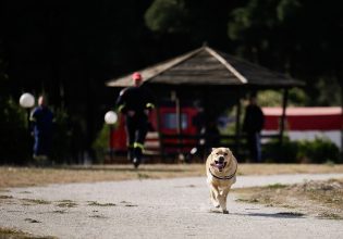 ΕΜΑΚ: Οι τετράποδοι ήρωες που σώζουν ζωές