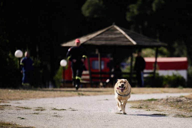 ΕΜΑΚ: Οι τετράποδοι ήρωες που σώζουν ζωές