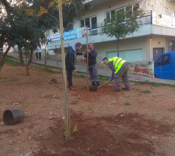 Μαζικές φυτεύσεις στο Δήμο Ζωγράφου