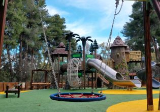 Δεντρόσπιτα και φυτά του Υμηττού στο περιβαλλοντικό πάρκο του Δήμου Παπάγου – Χολαργού