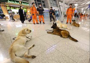 Σεισμός: Κίνα και Νότια Κορέα στέλνουν διασώστες και ειδικούς σκύλους στην Τουρκία