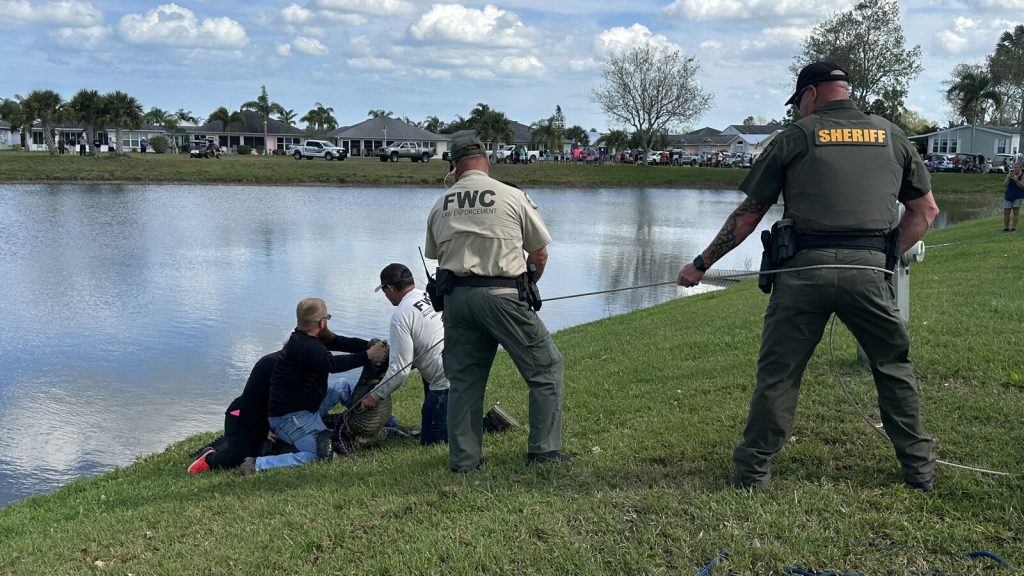 ΗΠΑ: Ηλικιωμένη σκοτώθηκε από αλιγάτορα προσπαθώντας να σώσει τον σκύλο της