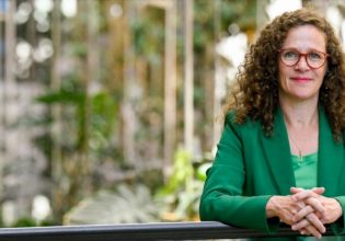 «Team Jorge»: Να ερευνηθούν άμεσα οι ισχυρισμοί για παρέμβαση στις ελληνικές εκλογές, ζητά η Σόφι Ιν΄τ Βελντ