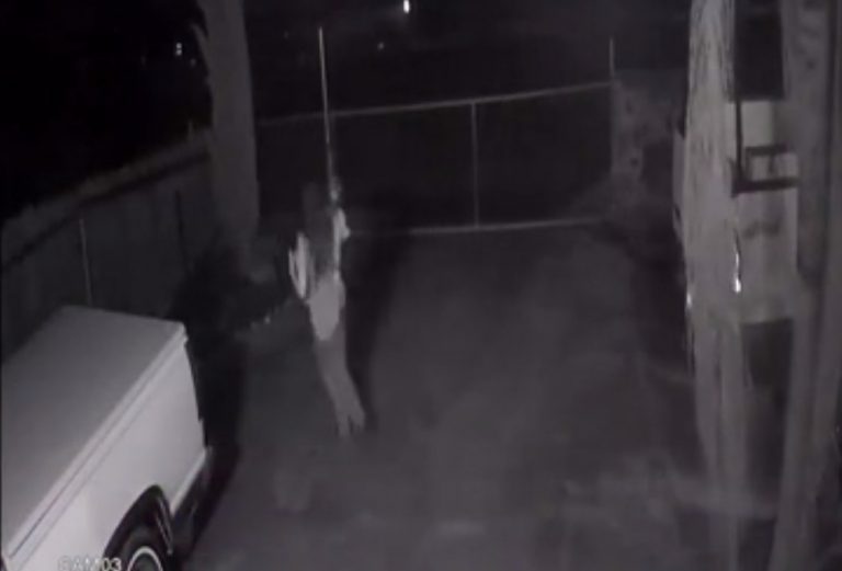 Εκτέλεσε με σφαίρες στο κεφάλι τη 16χρονη με το μωράκι της – Αρνείται το μακελειό στην Καλιφόρνια ο 25χρονος