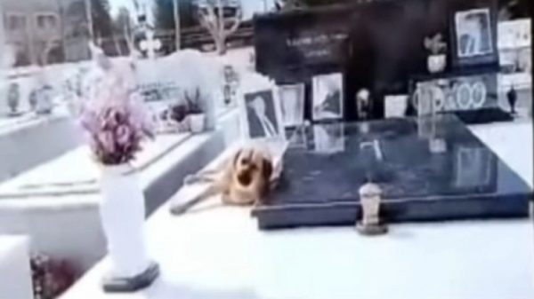 Συγκινεί ο σκύλος που δεν φεύγει από το μνήμα του αφεντικού του στην Κρήτη