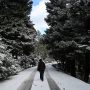 Κακοκαιρία Μπάρμπαρα: Έπεσαν τα πρώτα χιόνια στην Εύβοια