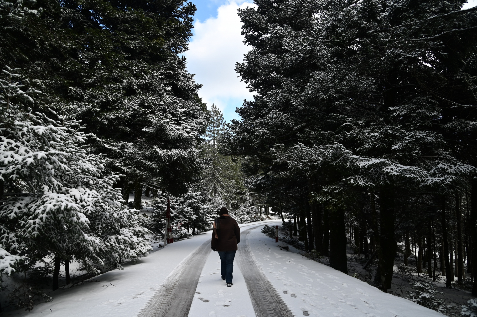 Κακοκαιρία «Μπάρμπαρα»: Έπεσαν τα πρώτα χιόνια στην Εύβοια - Πού έχει διακοπεί η κυκλοφορία στην Αττική