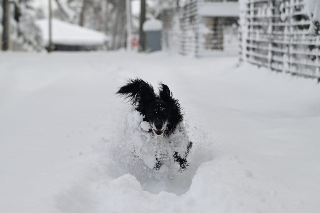 Καιρός: Λέανδρος, Μήδεια, Ελπίδα και Μπάρμπαρα – Οι κακοκαιρίες που πάγωσαν τη χώρα