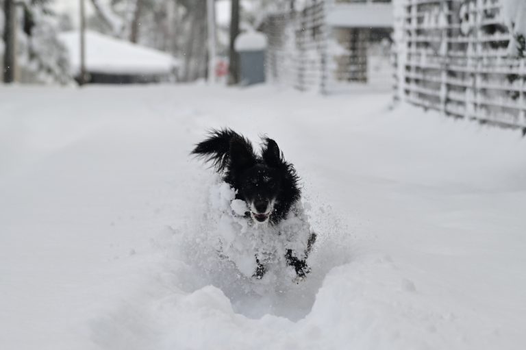 Καιρός: Λέανδρος, Μήδεια, Ελπίδα και Μπάρμπαρα – Οι κακοκαιρίες που πάγωσαν τη χώρα