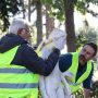 Δήμος Αθηναίων: Πρόγραμμα αποκατάστασης των υπαίθριων γλυπτών της πόλης