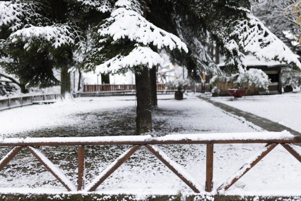 Αυξημένα μέτρα για την κακοκαιρία «Μπάρμπαρα» – Χρήσιμες συμβουλές για οδηγούς και πεζούς