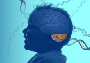 Προβλήματα κίνησης και ομιλίας από γονίδιο που δεν έχει μελετηθεί ακόμη