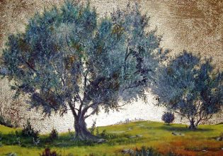 Ολυμπιακοί Αγώνες του 2024: Ελαιόδεντρο-μνημείο από την Γορτυνία στο Παρίσι