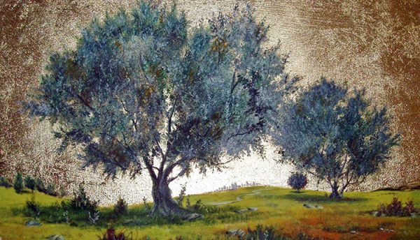 Ολυμπιακοί Αγώνες του 2024: Ελαιόδεντρο-μνημείο από την Γορτυνία στο Παρίσι