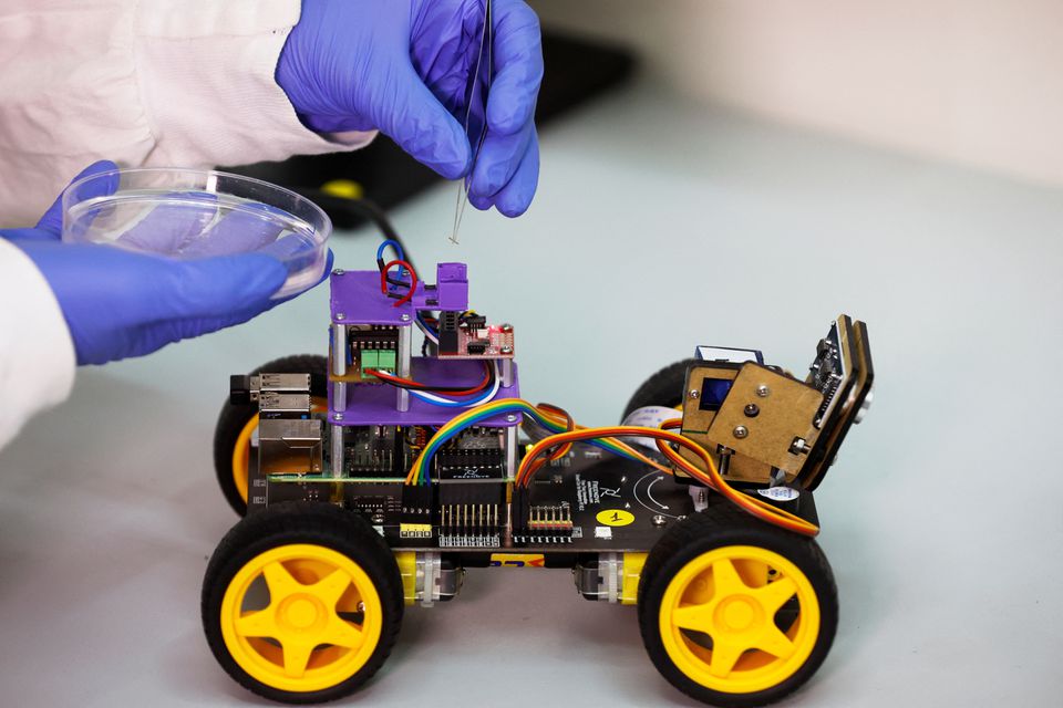 «Βιο-υβριδικό» ρομπότ με κεραίες ακρίδας μαθαίνει να μυρίζει