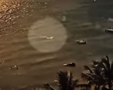 Αυστραλία: Καρχαρίας κατασπάραξε 59χρονο – Βίντεο σοκ