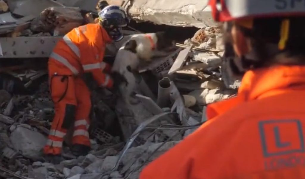 Σεισμός στην Τουρκία: Έφτασαν τα βρετανικά σκυλιά διάσωσης – Δείτε βίντεο με τη δράση τους