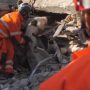 Σεισμός στην Τουρκία: Έφτασαν τα βρετανικά σκυλιά διάσωσης – Δείτε βίντεο με τη δράση τους