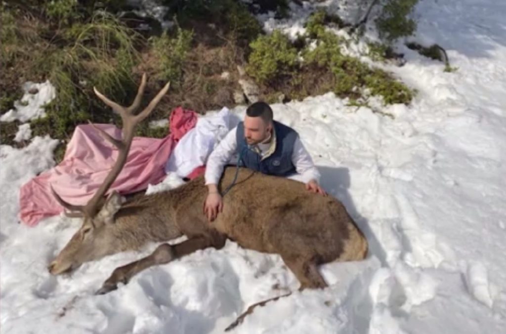 Ιπποκράτειος Πολιτεία: Τραυματισμένο ελάφι βρήκε καταφύγιο σε σπίτι