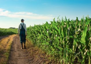 e-ΕΦΚΑ: Τι θα πληρώσουν οι αγρότες το 2023 για ασφαλιστικές εισφορές